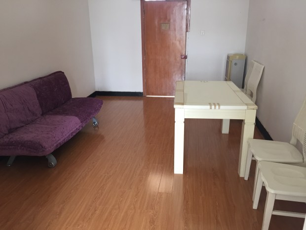 BEFORE: That door is my front door and this is my living room/dining room area. Also, that funky-fresh, purple couch is also a futon so anyone that wants to come stay with me, I have room!
